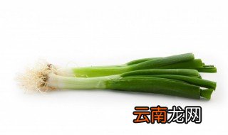大葱怎么种才粗 大葱怎样种植的又粗又长