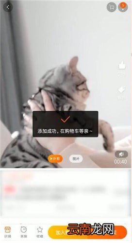 手机淘宝中恢复购物车删除东西的具体操作方法
