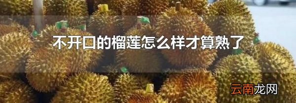 不开口的榴莲怎么样才算熟了