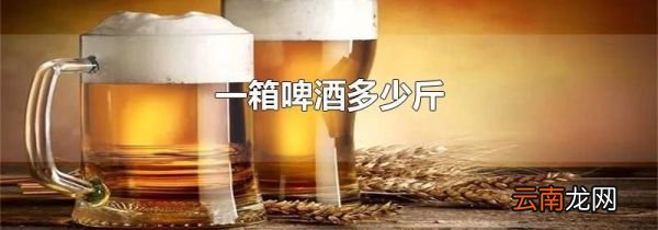 一箱啤酒多少斤