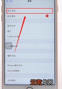 在苹果手机里查版本信息操作流程