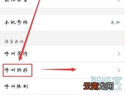 vivoz5怎么设置呼叫转移