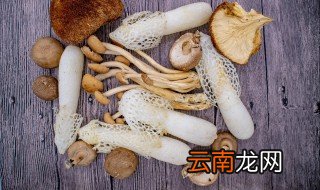 竹荪长在哪里 竹荪一般生长在哪里