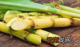 甘蔗的读音 甘蔗的介绍