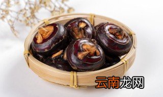 马蹄长在哪里，马蹄长在什么地方