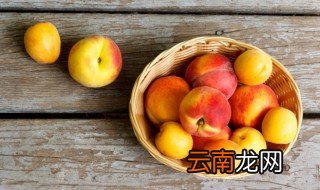 梦见桃树上结了好多桃子熟了 梦见桃树上结了好多桃子熟了好不好