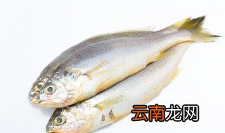清蒸黄花鱼的制作方法 营养清蒸黄花鱼的做法