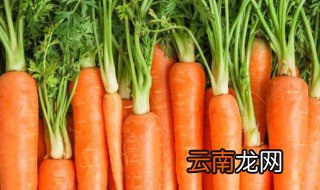 胡萝卜长在哪里英文 胡萝卜长在哪里