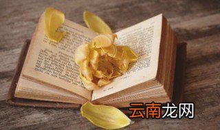 西游记偷吃人参果概括 西游记偷吃人参果的主要内容内容