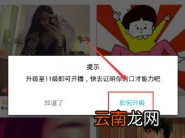 陪我APP中快速升级具体步骤介绍