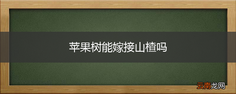 苹果树能嫁接山楂吗