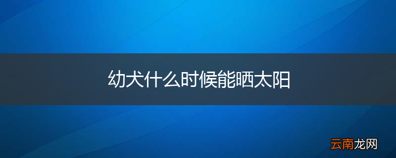 幼犬什么时候能晒太阳