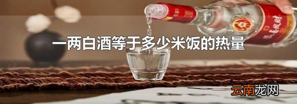 一两白酒等于多少米饭的热量