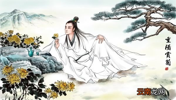 幼时记趣文言文翻译注释 幼时记趣文言文翻译注释解析