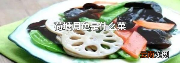 荷塘月色是什么菜