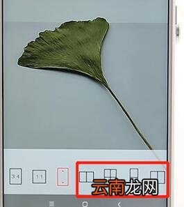 使用潮自拍APP进行拼图具体操作