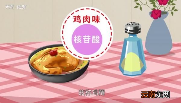 鸡精的成分是什么东西 鸡精的主要成分是什么