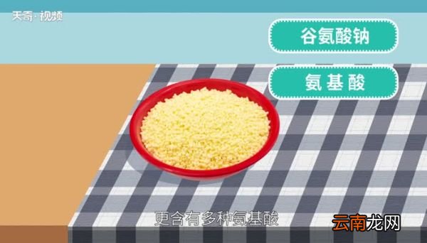 鸡精的成分是什么东西 鸡精的主要成分是什么