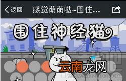 围住神经猫在哪玩|怎么下载