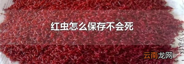 红虫怎么保存不会死