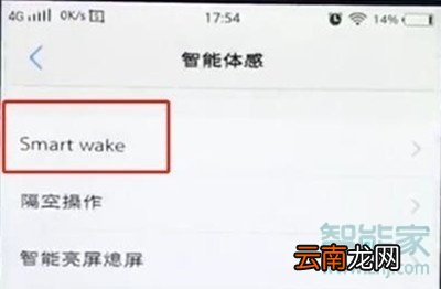 vivox23幻彩版怎么设置黑屏手势