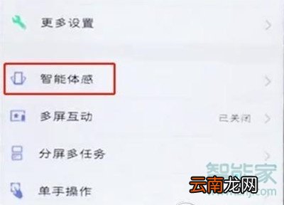 vivox23幻彩版怎么设置黑屏手势