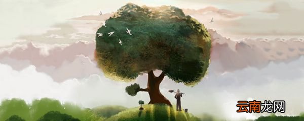 世界环境日是什么意思 世界环境日是什么日子