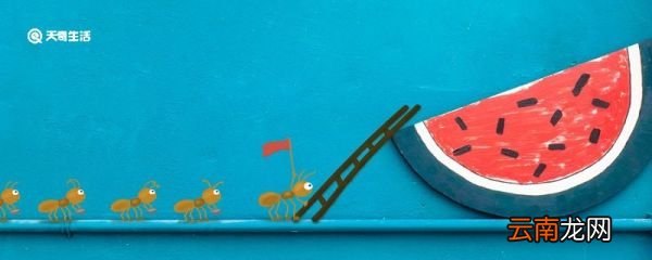 蚂蚁和螳螂告诉了我们一个什么道理 蚂蚁和螳螂的寓意是什么