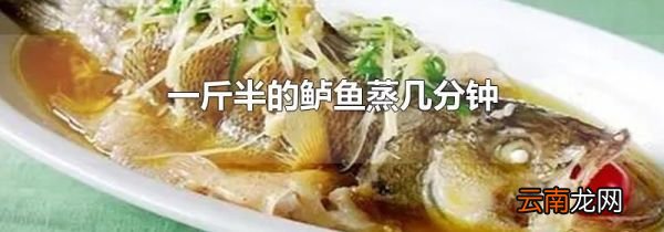 一斤半的鲈鱼蒸几分钟