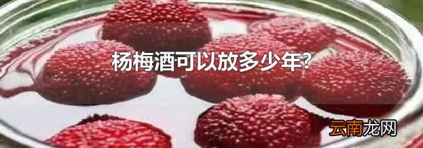 杨梅酒可以放多少年?
