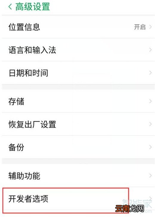 努比亚z20怎么打开开发者选项