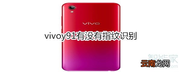 vivoy91有没有指纹识别