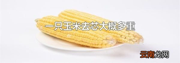 一只玉米去芯大概多重