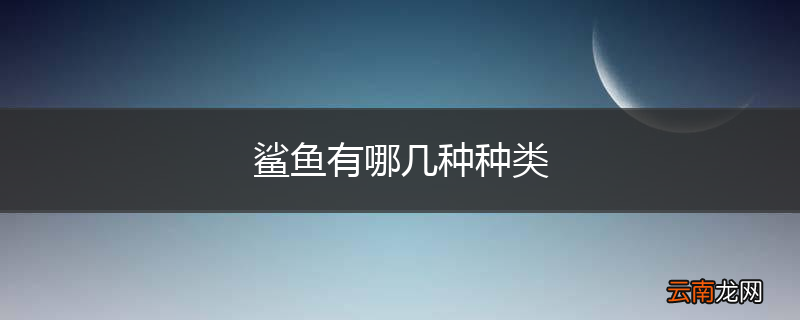 鲨鱼有哪几种种类