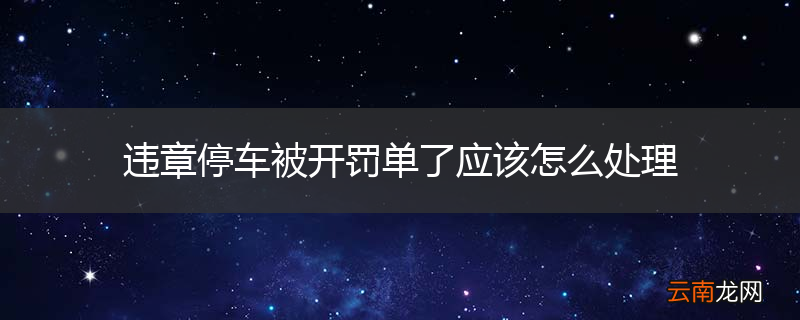 违章停车被开罚单了应该怎么处理