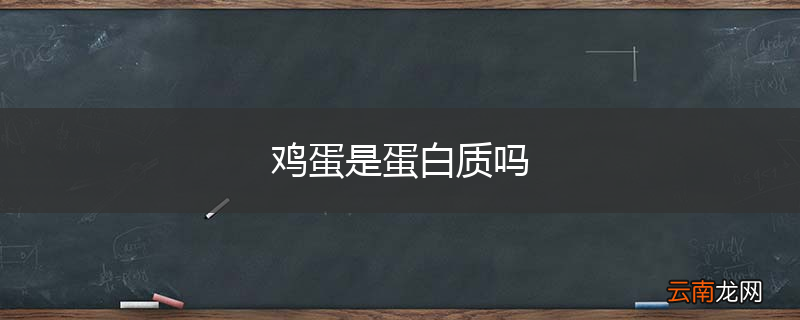 鸡蛋是蛋白质吗