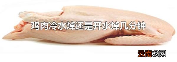 鸡肉冷水焯还是开水焯几分钟