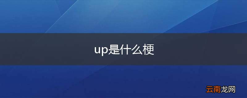 up是什么梗