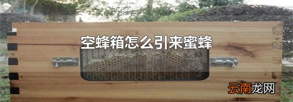 空蜂箱怎么引来蜜蜂