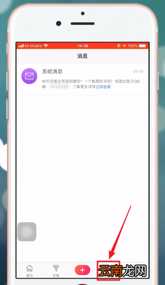 熊猫动态壁纸具体使用步骤介绍