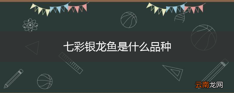 七彩银龙鱼是什么品种