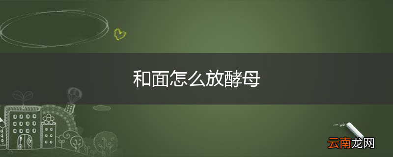 和面怎么放酵母
