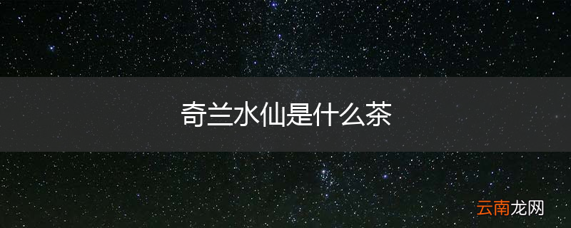 奇兰水仙是什么茶