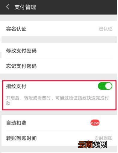 vivox23幻彩版怎么开启微信指纹支付