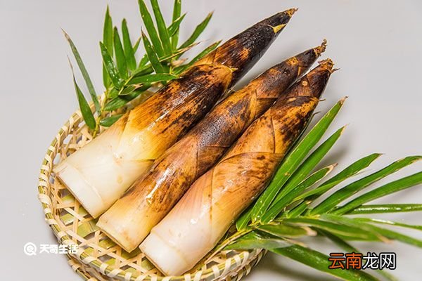 甜笋的功效与作用 甜笋的功效与作用是什么
