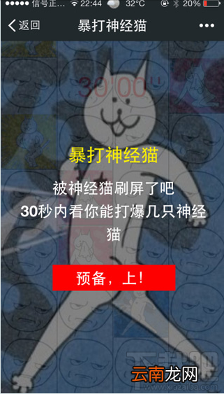 暴打神经猫下载 暴打神经猫在哪玩