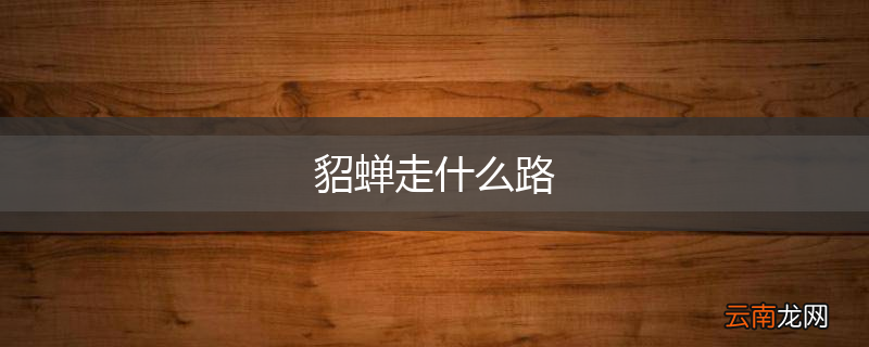 貂蝉走什么路