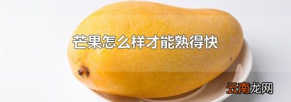 芒果怎么样才能熟得快