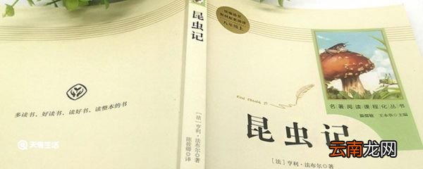 昆虫记被誉为 昆虫记被誉为什么
