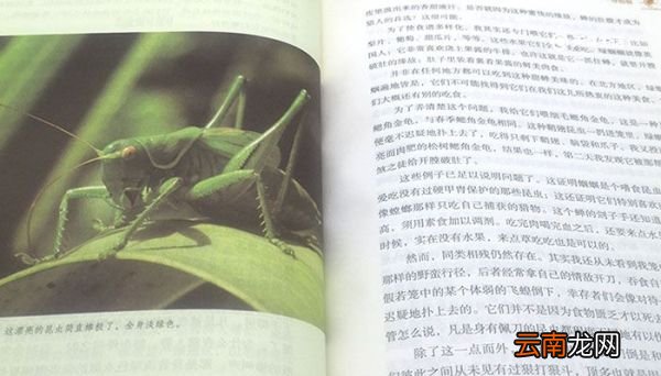 昆虫记被誉为 昆虫记被誉为什么